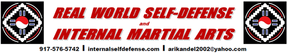 BOCA RATON REAL WORLD SELF-DEFENSE and Internal Martial Arts